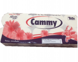 Mở đại lý giấy vệ sinh cammy không lõi Quận 11